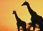 Africa