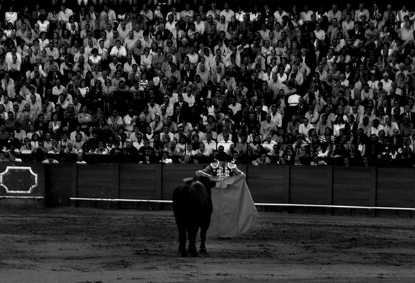 Essence #6 by Jeremy Chin - Matador in a Bullfight, Sevile, Spain