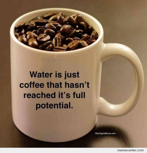 Coffee #112: Water is just coffee that hasn't reached it's full potential.