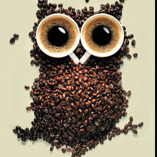 Coffee #183: Coffee Owl
