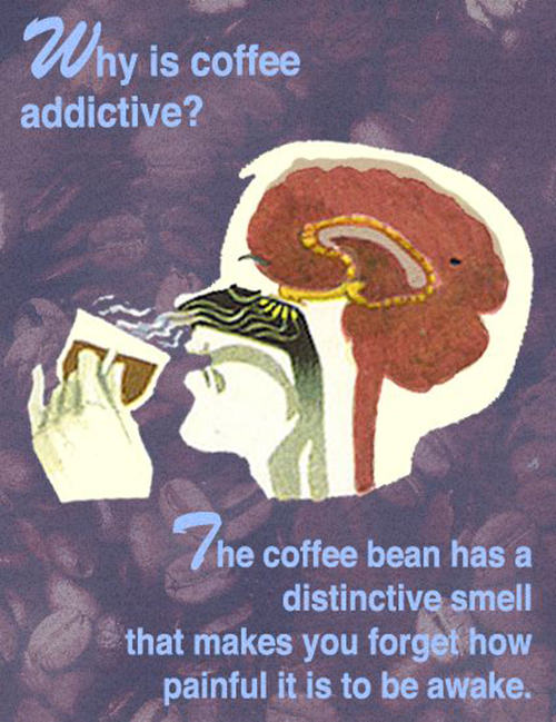 Coffee #188: Why is coffee addictive? The coffee bean has a distinctive smell that makes you forget how painful it is to be awake.