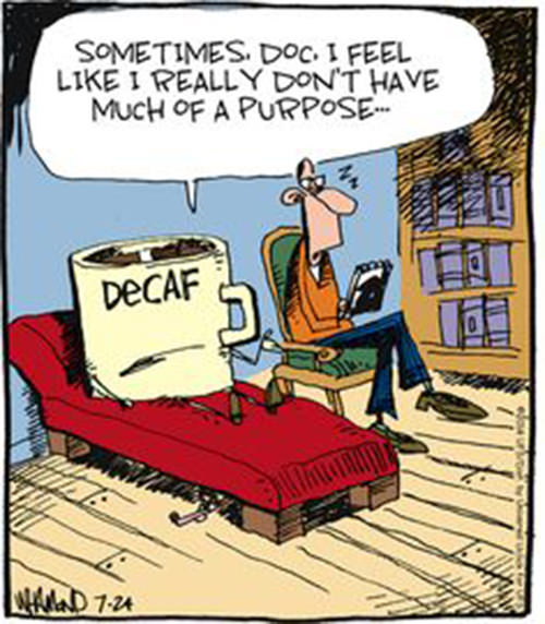 Coffee #197: Sometimes doc, I feel like I really don't have much of a purpose. - Decaf