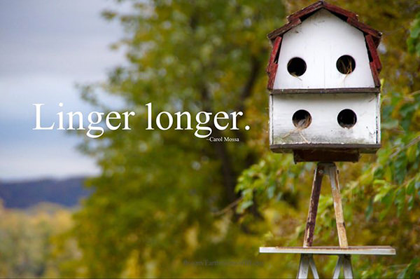 Favorite Things #25: Linger longer.