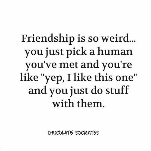 Friendship #52: Friendship is so weird. You just pick a human you've met and you're like, 