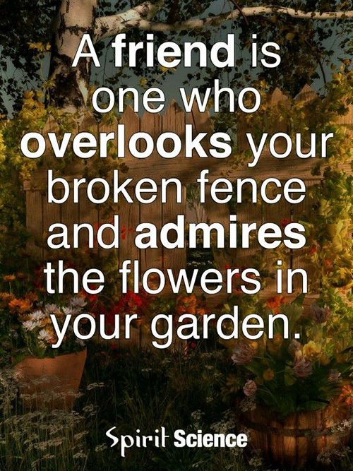Friendship #58: A friend is one who overlooks your broken fence and admires the flowers in your garden.