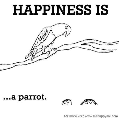 Happiness #9: Happiness is a parrot.