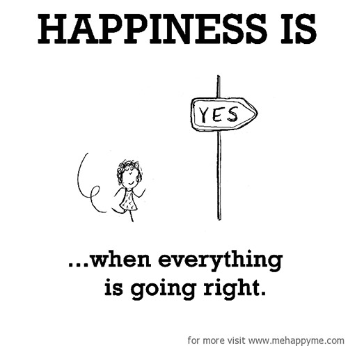 Happiness #30: Happiness is when everything is going right.