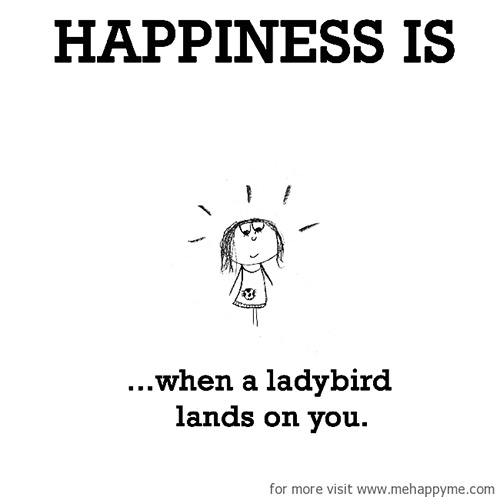 Happiness #77: Happiness is when a lady bird lands on you.