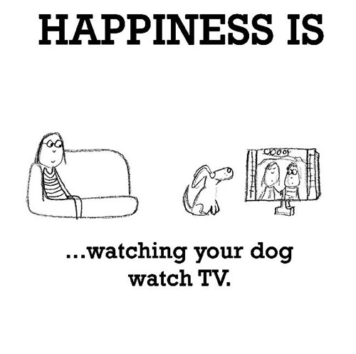 Happiness #93: Happiness is watching your dog watch TV.