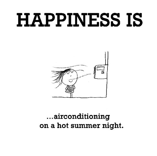 Happiness #102: Happiness is air conditioning on a hot summer night.