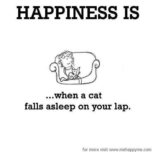 Happiness #117: Happiness is when a cat falls asleep on your lap.