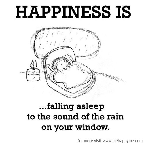 Happiness #135: Happiness is falling asleep to the sound of the rain on your window.
