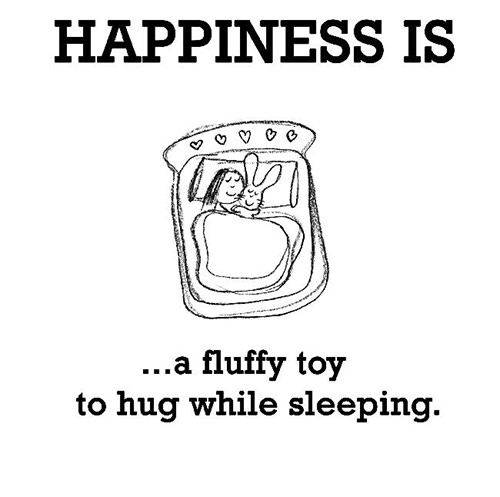 Happiness #162: Happiness is a fluffy toy to hug while sleeping.