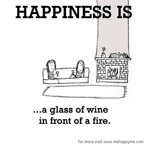 Happiness #220: Happiness is a glass of wine in front of a fire.