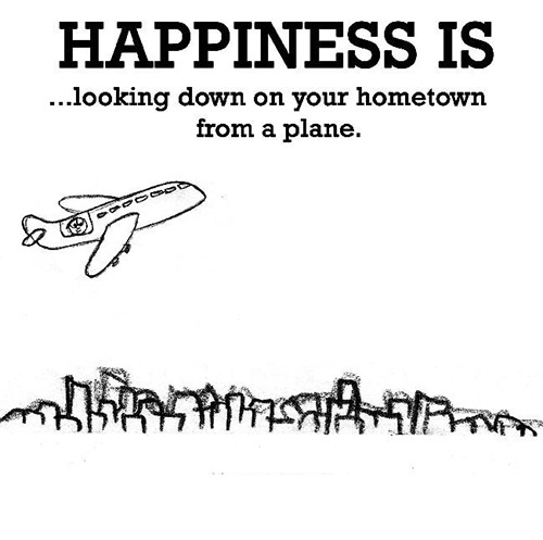 Happiness #227: Happiness is looking down on your hometown from a plane.