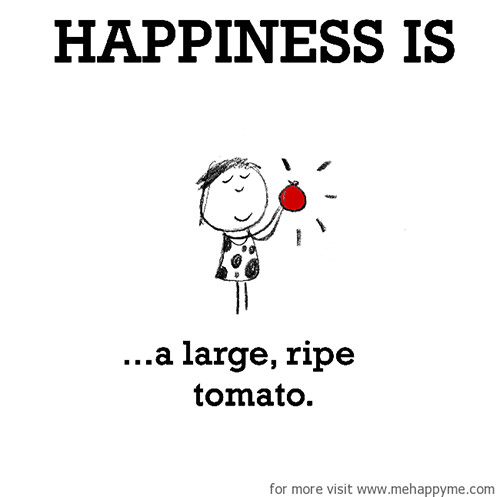 Happiness #231: Happiness is a large ripe tomato.