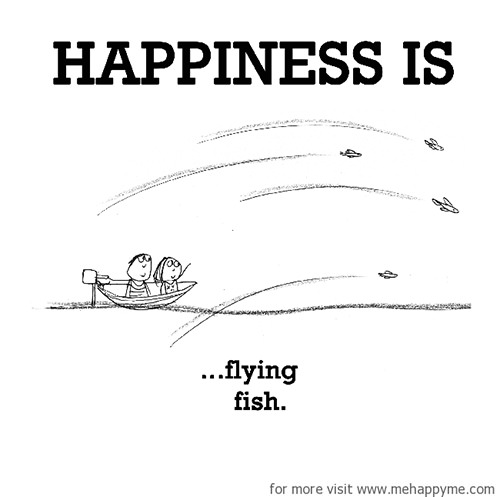 Happiness #237: Happiness is flying fish.