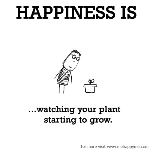 Happiness #245: Happiness is watching you plant starting to grow.