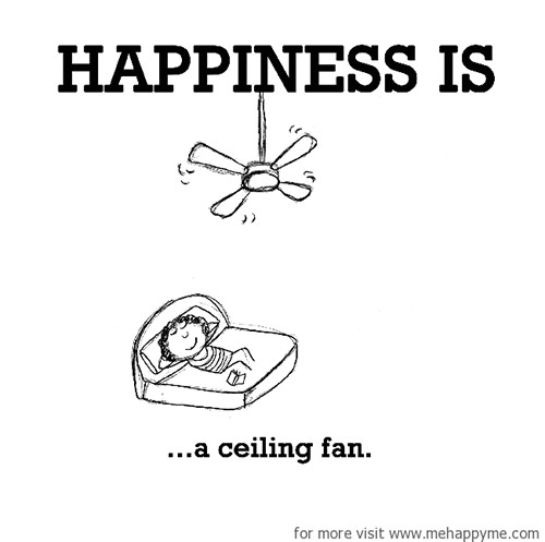 Happiness #253: Happiness is a ceiling fan.