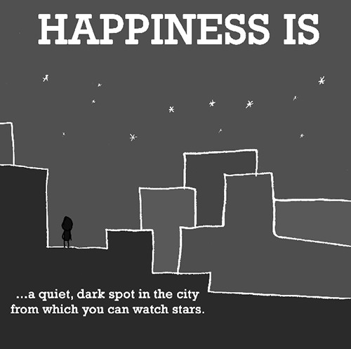 Happiness #258: Happiness is a quiet, dark spot in the city from which you can watch stars.