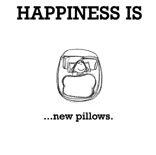 Happiness #261: Happiness is new pillows.