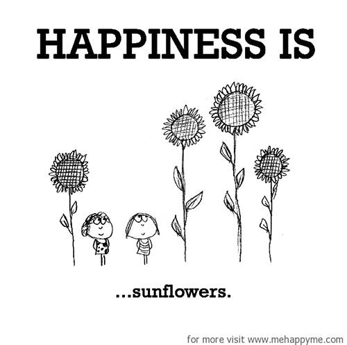 Happiness #270: Happiness is sunflowers.