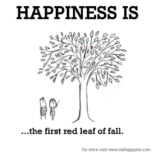 Happiness #274: Happiness is the first red leaf of fall.