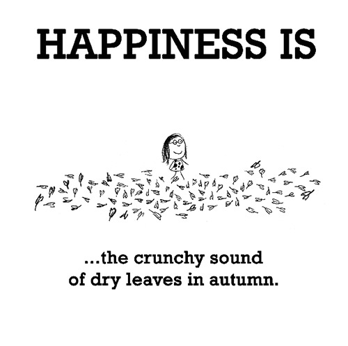 Happiness #317: Happiness is the crunch sound of dry leaves in autumn.
