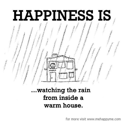 Happiness #331: Happiness is watching the rain from inside a warm house.