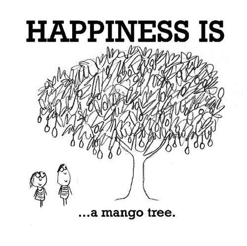 Happiness #336: Happiness is a mango tree.
