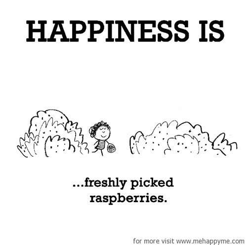 Happiness #358: Happiness is freshly picked raspberries.