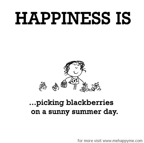 Happiness #370: Happiness is picking blackberries on a sunny summer day.
