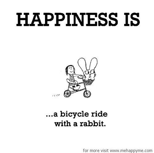 Happiness #373: Happiness is a bicycle ride with a rabbit.