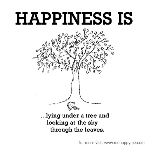 Happiness #377: Happiness is lying under a tree and looking at the sky through the leaves.