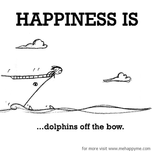 Happiness #385: Happiness is dolphins off the bow.