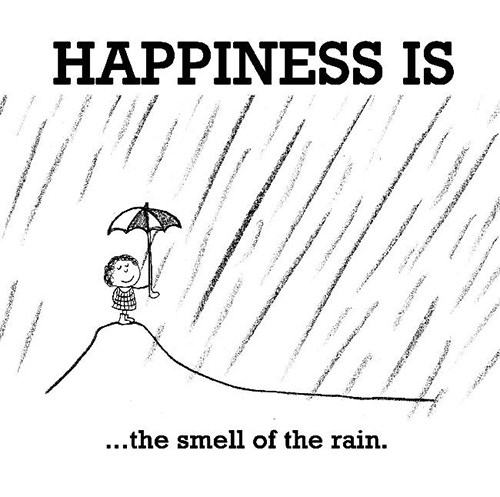 Happiness #394: Happiness is the smell of the rain.