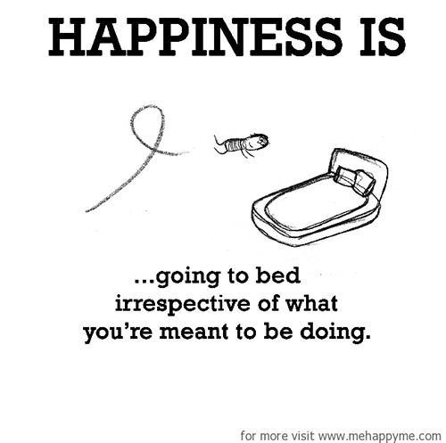 Happiness #421: Happiness is going to bed irrespective of what you're meant to be doing.