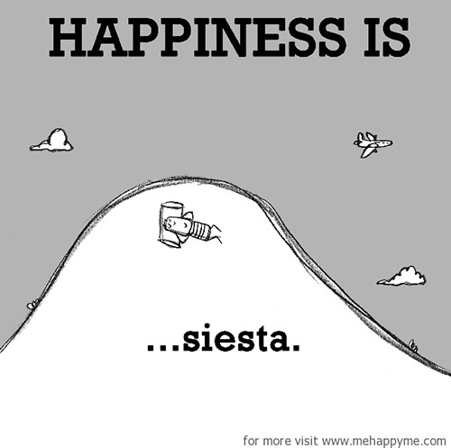 Happiness #430: Happiness is siesta.