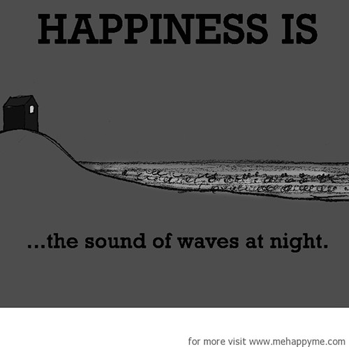 Happiness #431: Happiness is the sound of waves at night.