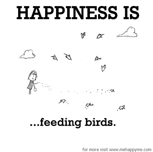 Happiness #436: Happiness is feeding birds.