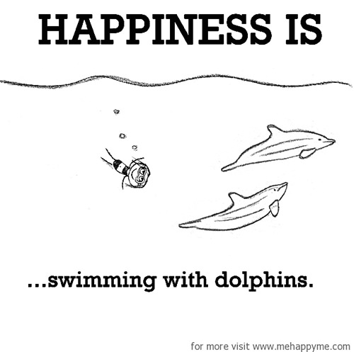 Happiness #446: Happiness is swimming with dolphins.