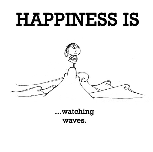 Happiness #479: Happiness is watching waves.