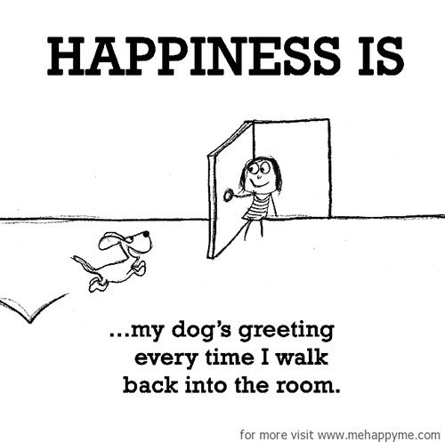 Happiness #486: Happiness is my dog's greeting every time I walk back into the room.