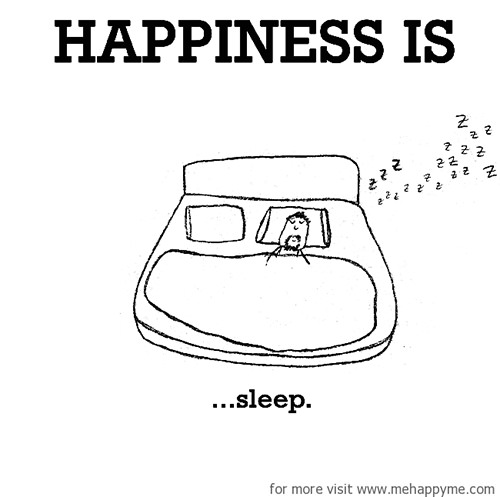 Happiness #529: Happiness is sleep.