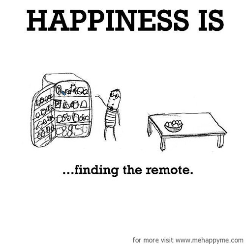 Happiness #566: Happiness is finding the remote.