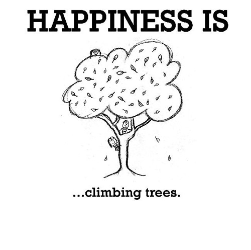 Happiness #655: Happiness is climbing trees.