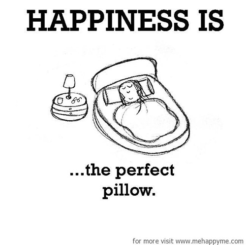 Happiness #662: Happiness is the perfect pillow.