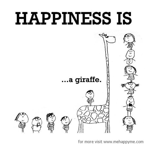 Happiness #668: Happiness is a giraffe.