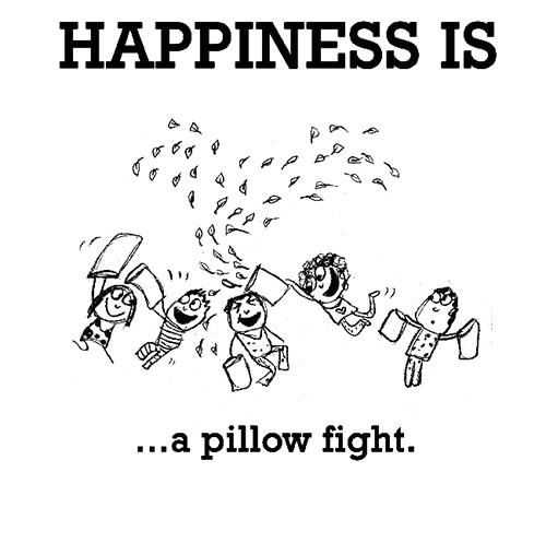 Happiness #695: Happiness is a pillow fight.