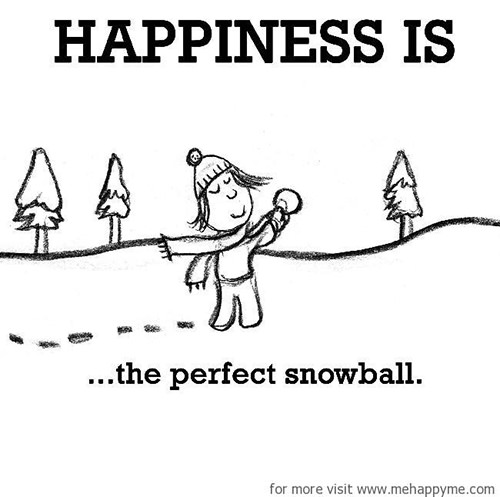 Happiness #700: Happiness is the perfect snowball.